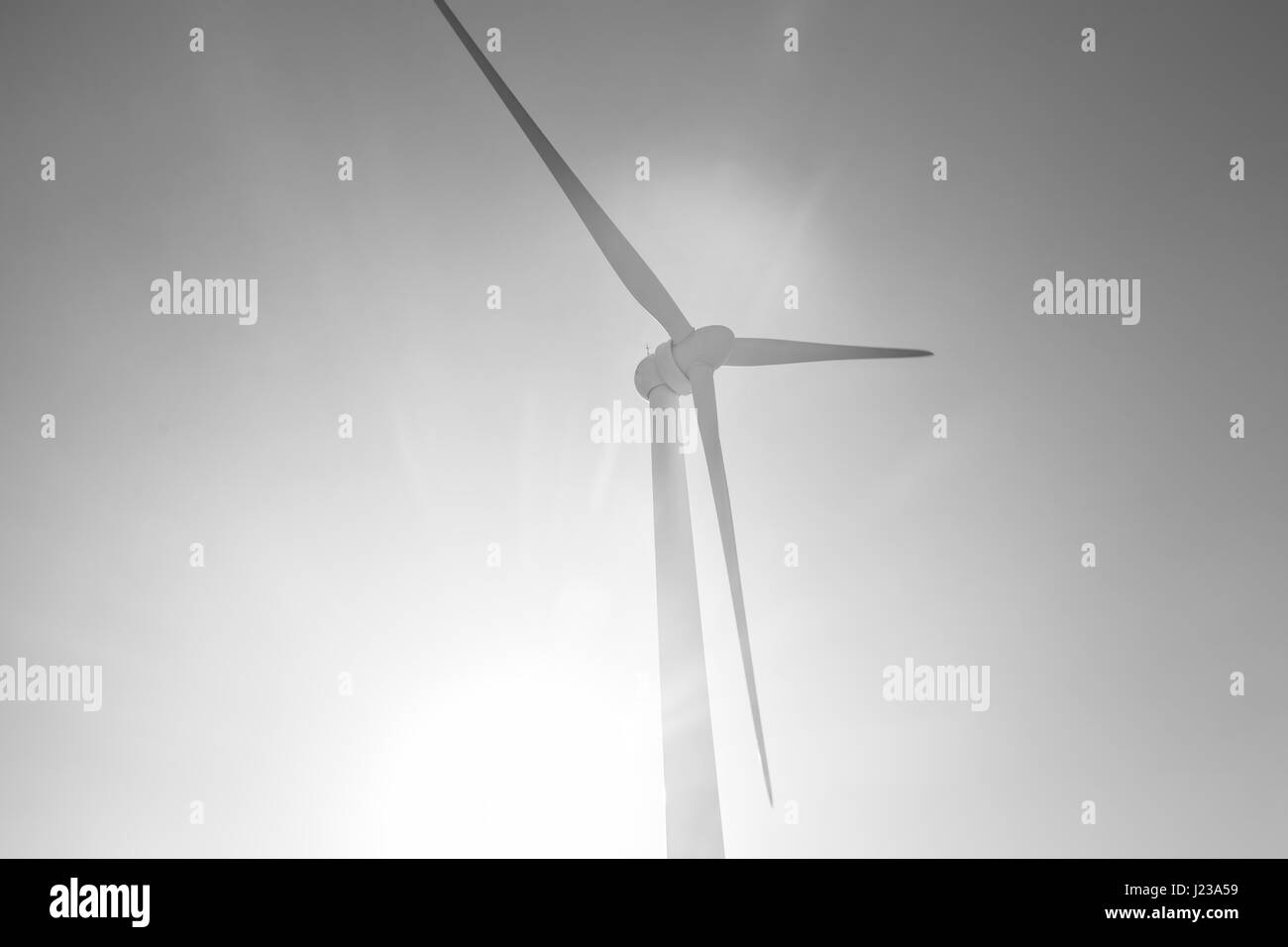 Wind Turbine for alternative energy . Eco power concept Stock Photo - Alamy