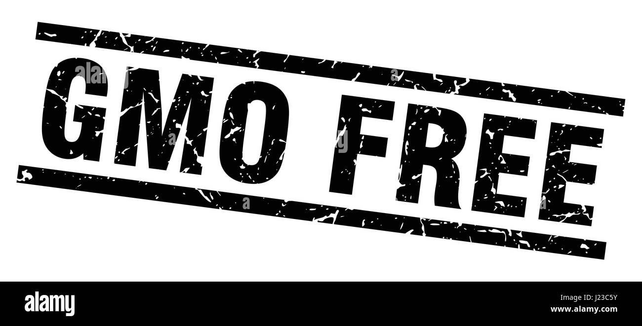 square grunge black gmo free stamp Stock Vector Image & Art - Alamy