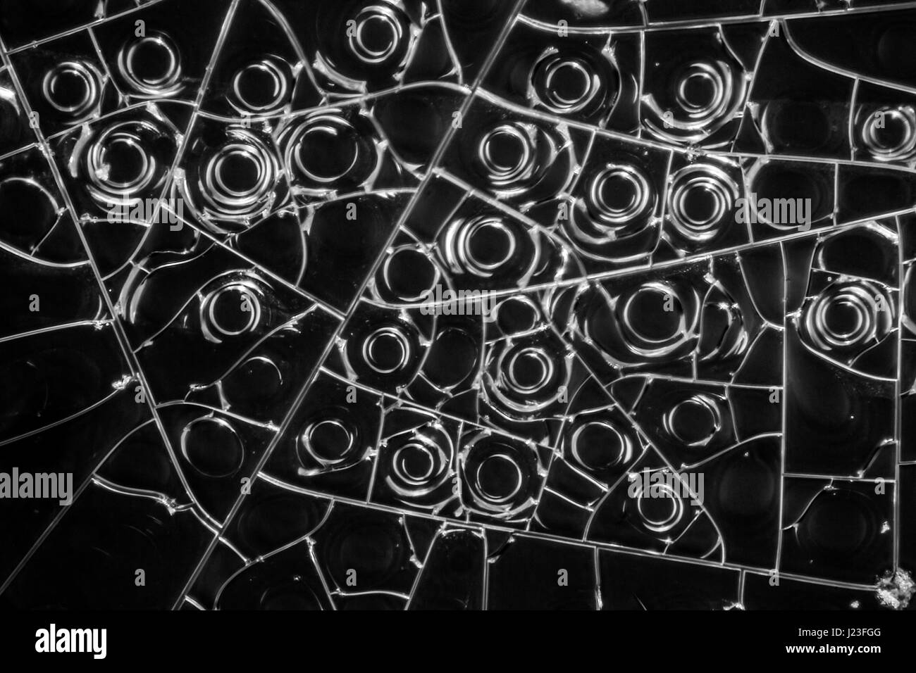 microscopic detail of some dried egg white in dark back Stock Photo Alamy