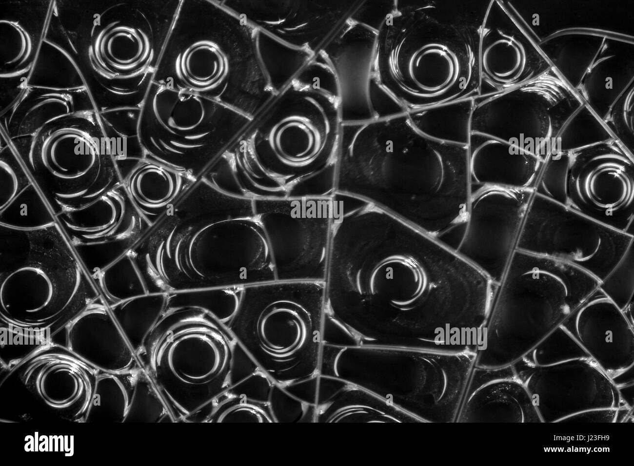 microscopic detail of some dried egg white in dark back Stock Photo Alamy