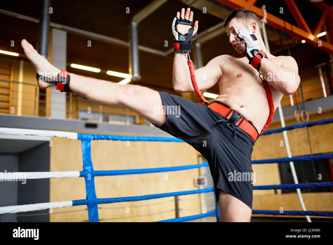 Portrait of shirtless fighter practicing high kick with resistance band