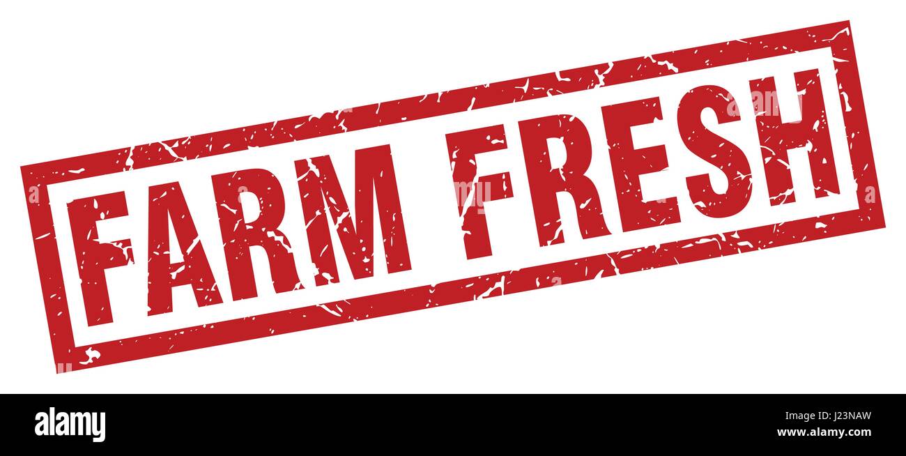 square grunge red farm fresh stamp Stock Vector Image & Art - Alamy