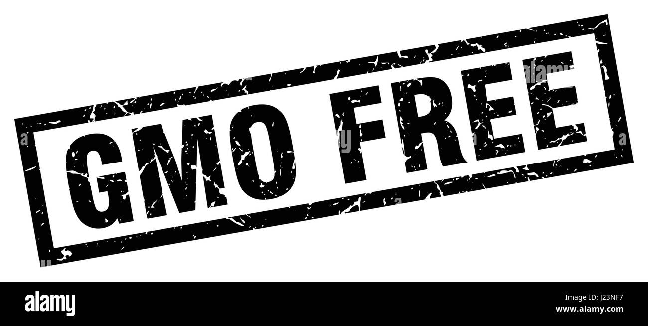 square grunge black gmo free stamp Stock Vector Image & Art - Alamy