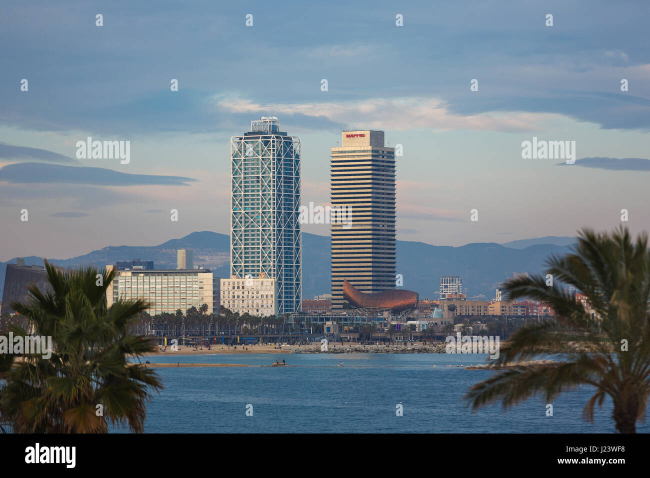 Barcelona, Spain - January 08 2017: The modern tall buildings on Barceloneta beach with palm trees in the foreground Stock Photo