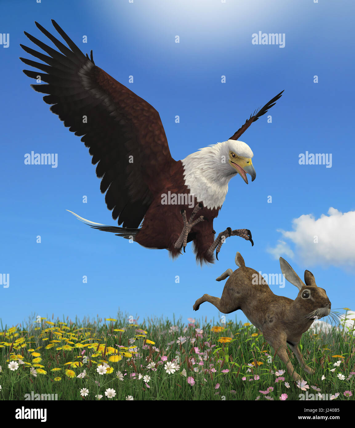 Eagle with a rabbit as a prey hi-res stock photography and images - Alamy
