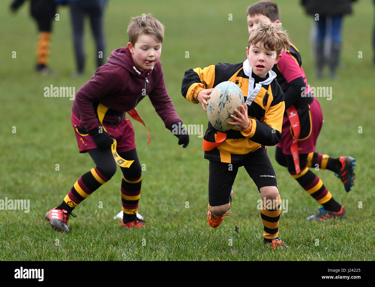 Childrens junior tag rugby action Britain Uk children childrens sport  healthy activity sport boys sports Stock Photo - Alamy
