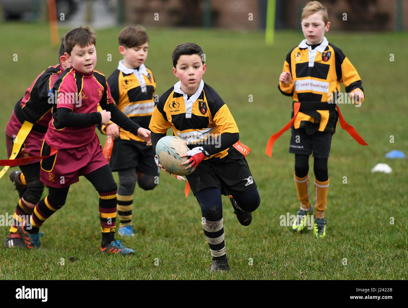 Junior childrens tag rugby action Britain Uk children childrens sport  healthy activity sport boys sports Stock Photo