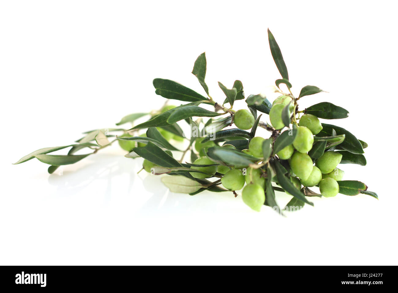 Olives on branch with leaves isolated on white background Stock Photo