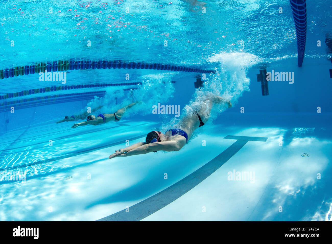 Winter swim training at Jacobs Aquatic Center, December 2014, Duke University in Key Largo, Florida Stock Photo