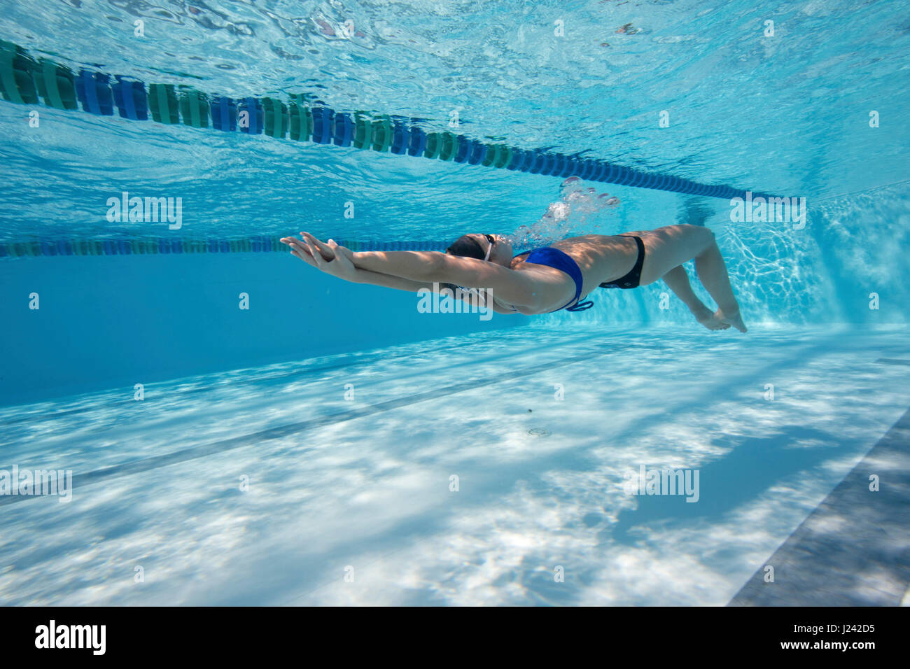 Winter swim training at Jacobs Aquatic Center, December 2014, Duke