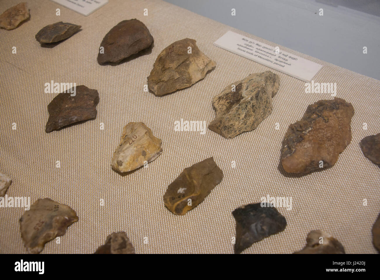 Sri Lanka, Colombo, National Museum aka Sri Lanka National Museum, largest museum in Sri Lanka. Middle palaeolithic period tools. Stock Photo