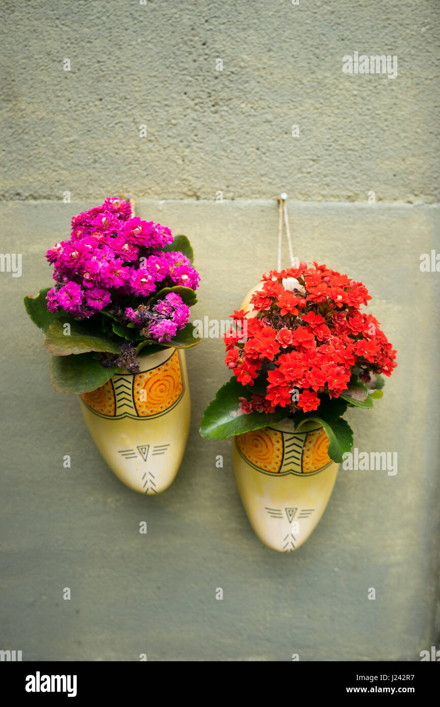 Dutch clogs flower pots hanging on garden wall with flowers Stock Photo