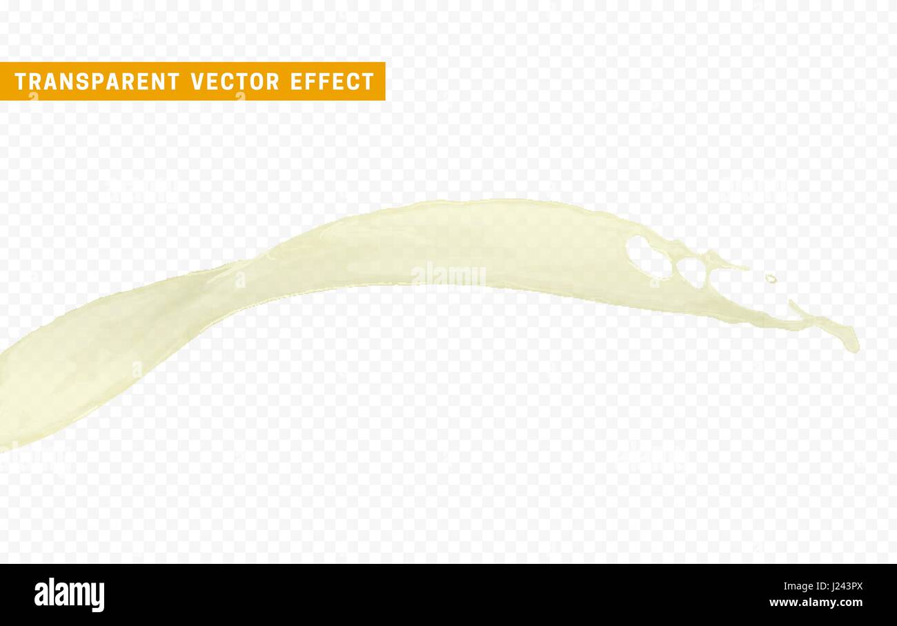 Milk white splashes isolated realistic design elements Stock Vector ...