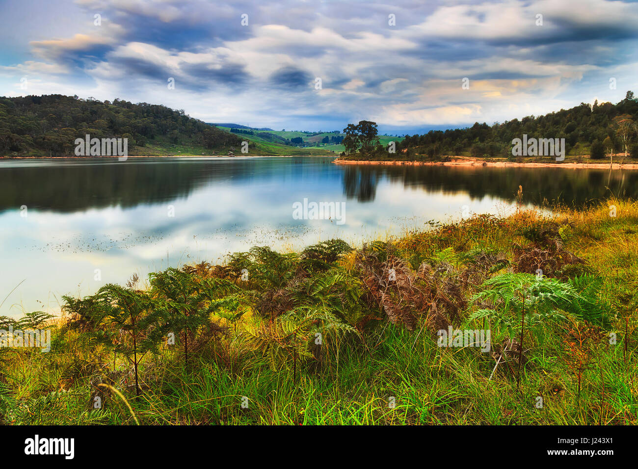 Colourful ferns and grass around still waters of Lake Lyell recreational park in Australian blue mountains at sunset. Stock Photo
