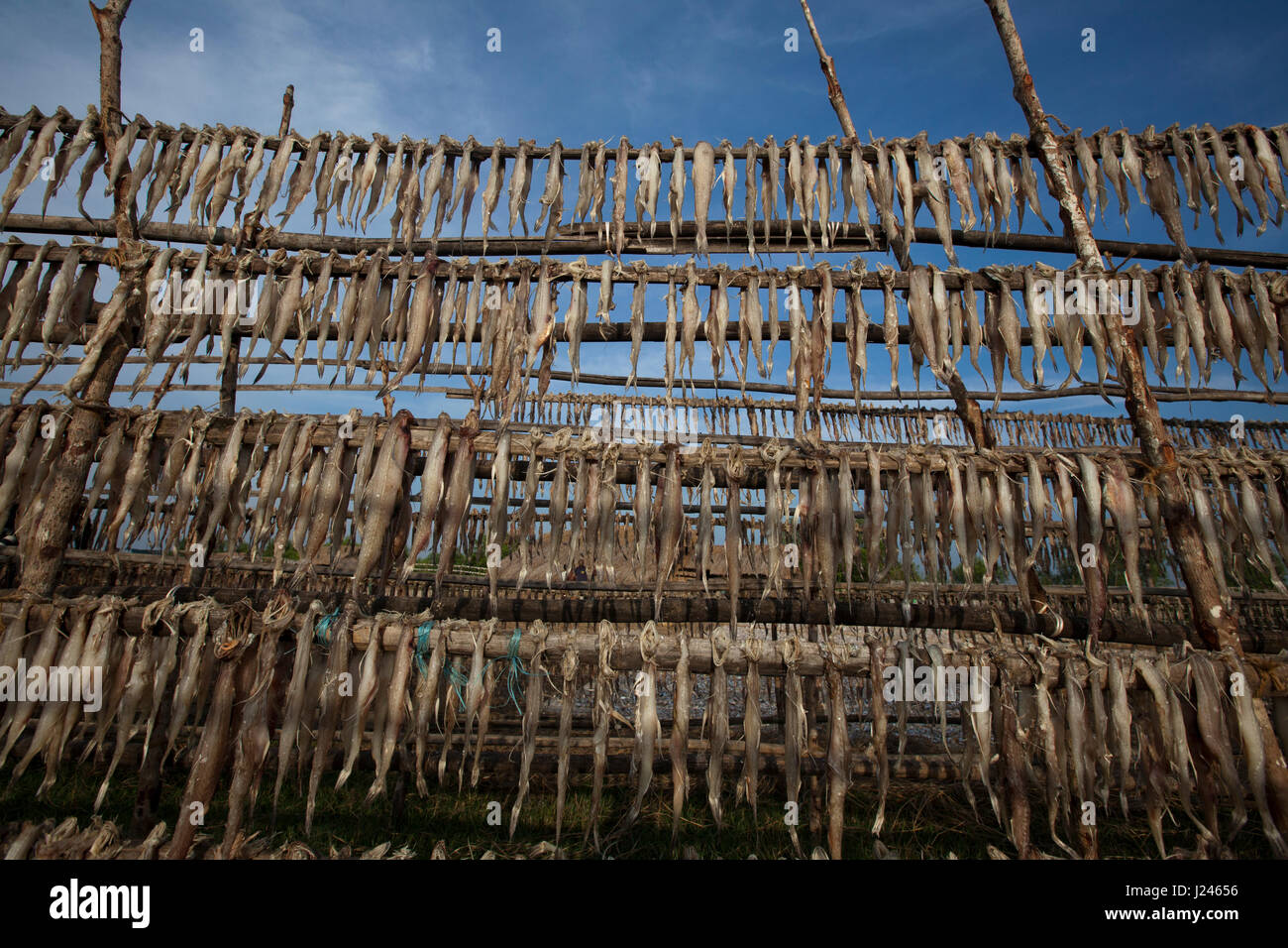 Dry fish processing plant at the Dublarchar in the Eastern Division of