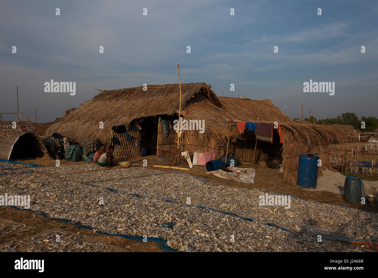 Dry fish processing plant at the Dublarchar in the Eastern Division of