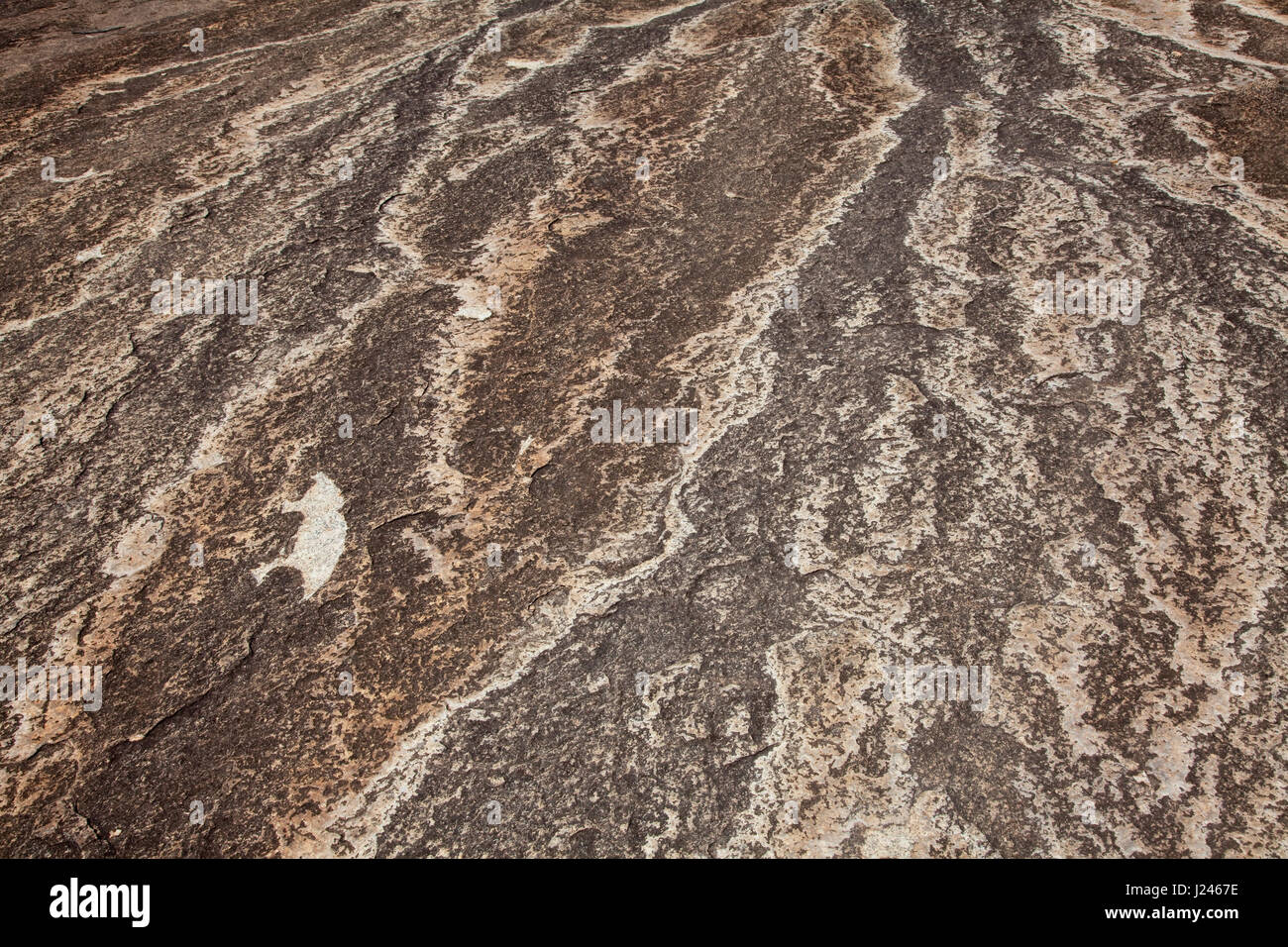 Abstract pattern on granite rock created by water erosion, Girraween