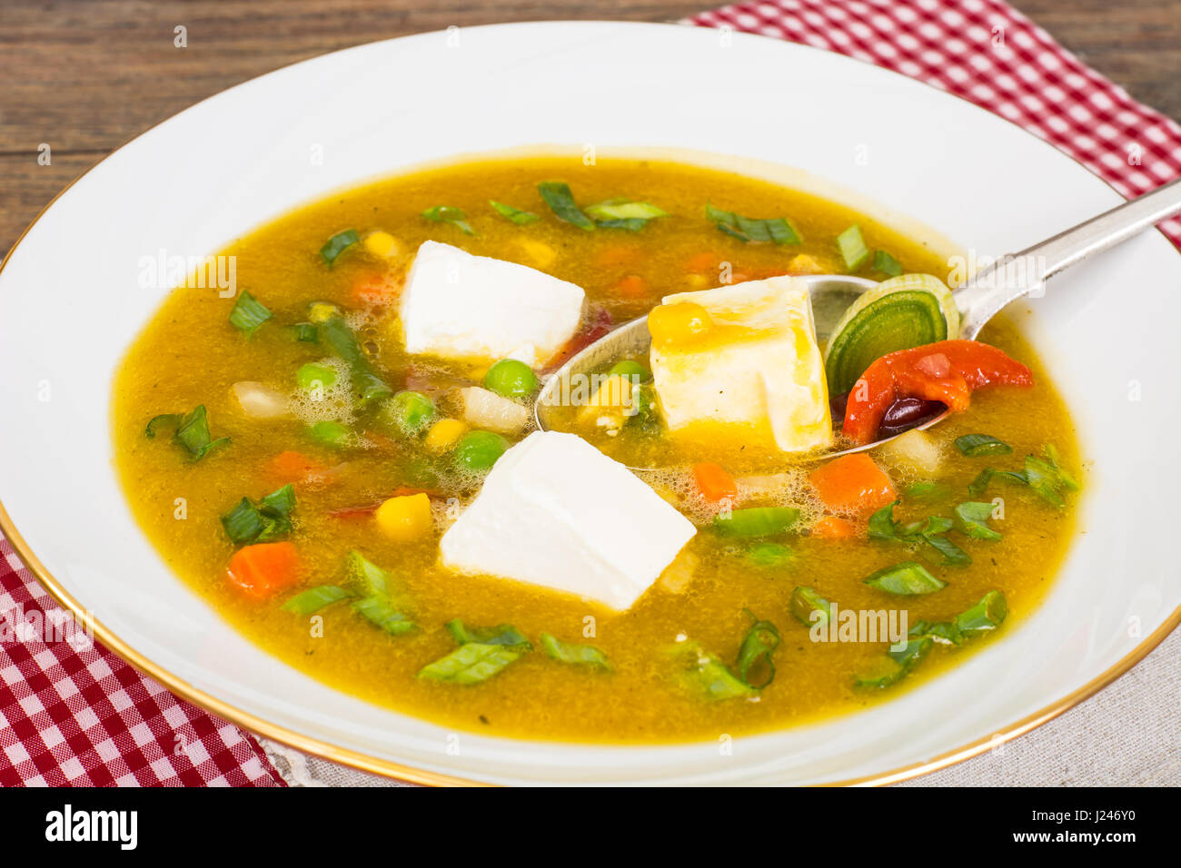 Dietary vegetarian vegetable soup with tofu. Studio Photo Stock Photo