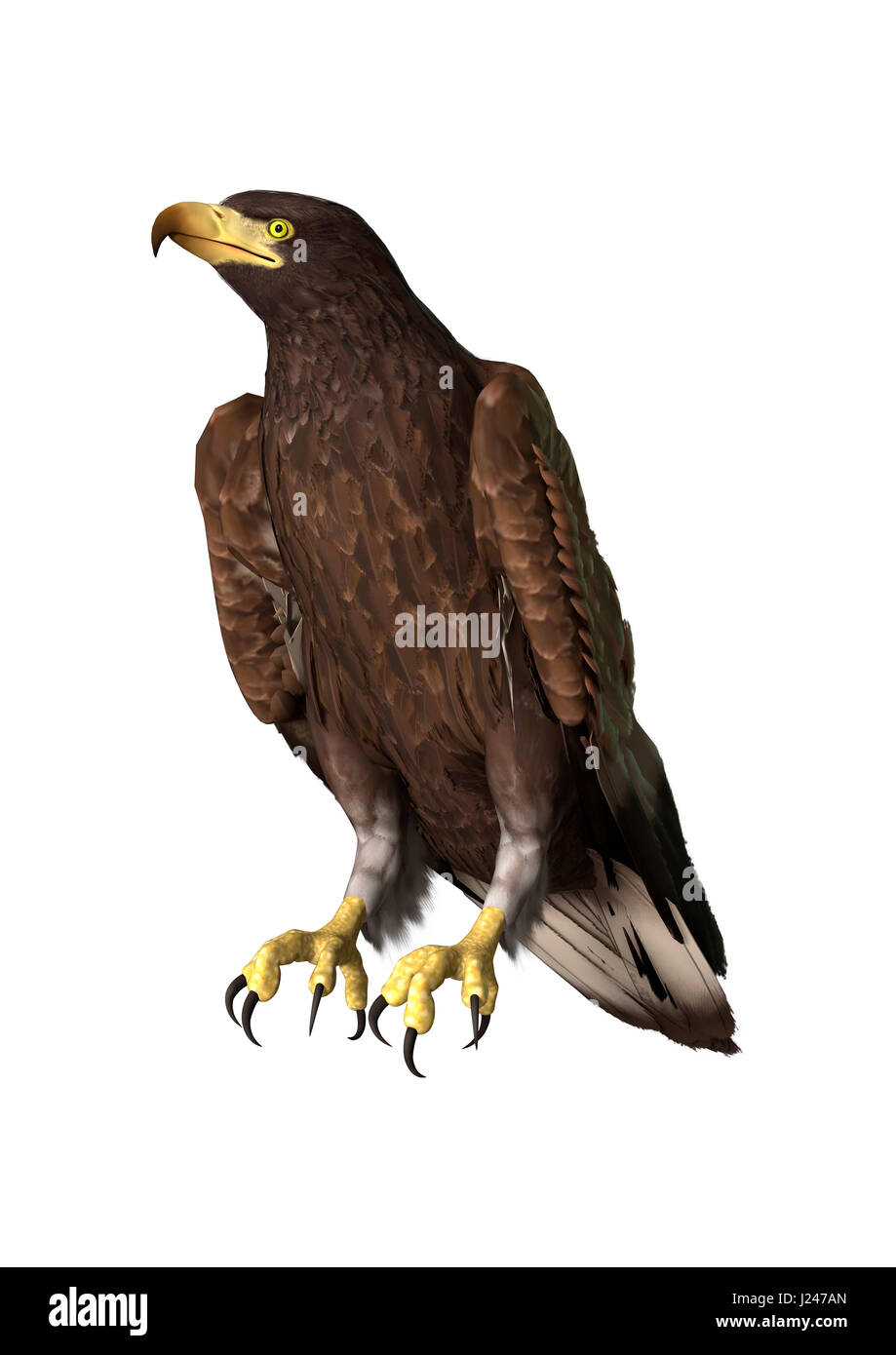 3D rendering of a bald eagle isolated on white background Stock Photo ...