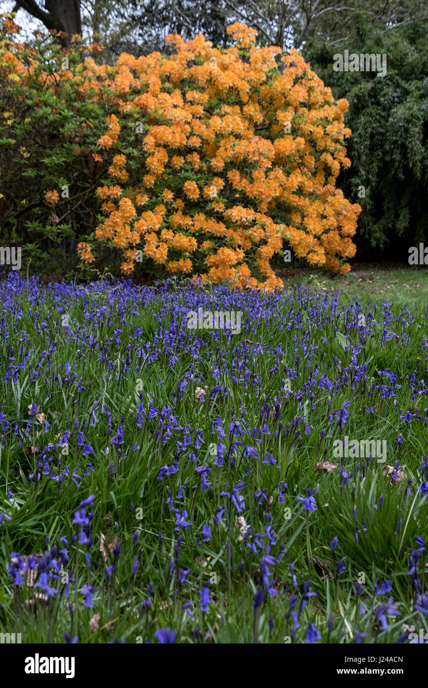 Riot Of Colour High Resolution Stock Photography and Images - Alamy