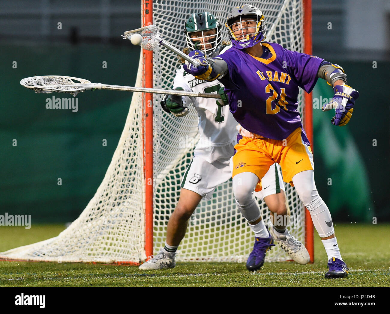 Vestal, New York, USA. 19th Apr, 2017. Albany Great Danes attackman