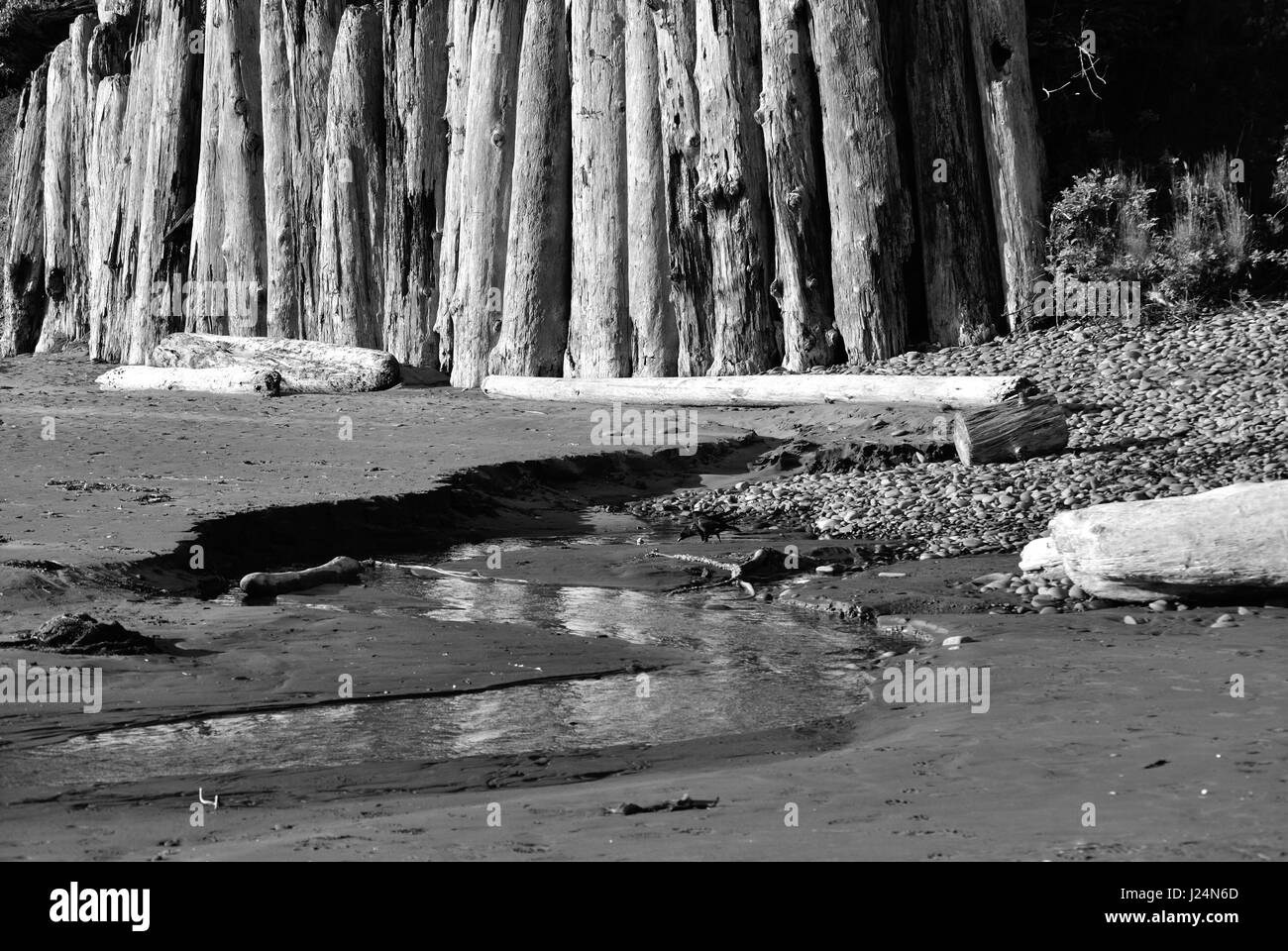 Driftwood and stream on Oregon Coast Stock Photo Alamy