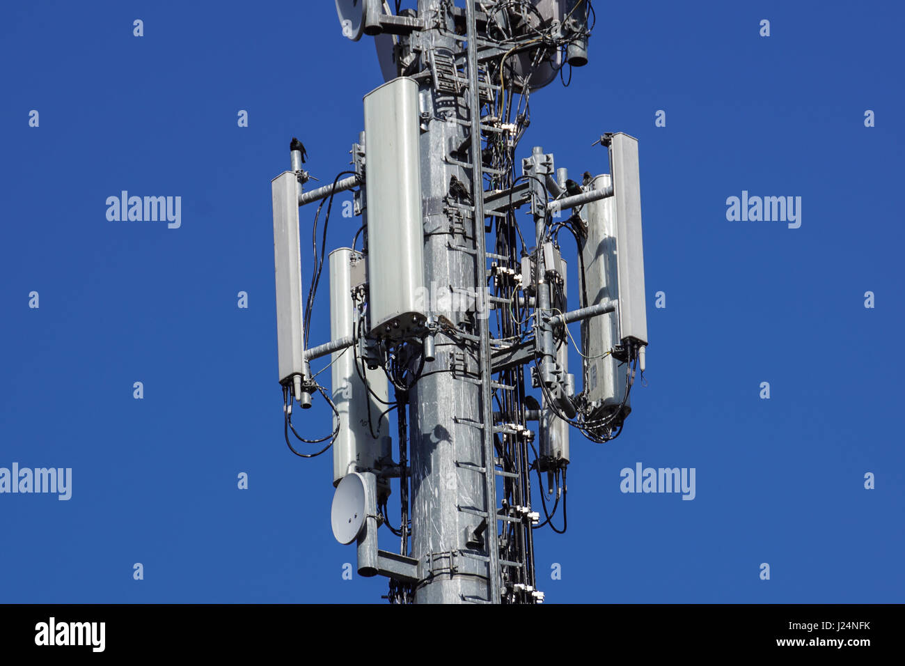 Telecommunications tower antenna cells for mobile communications. Stock Photo