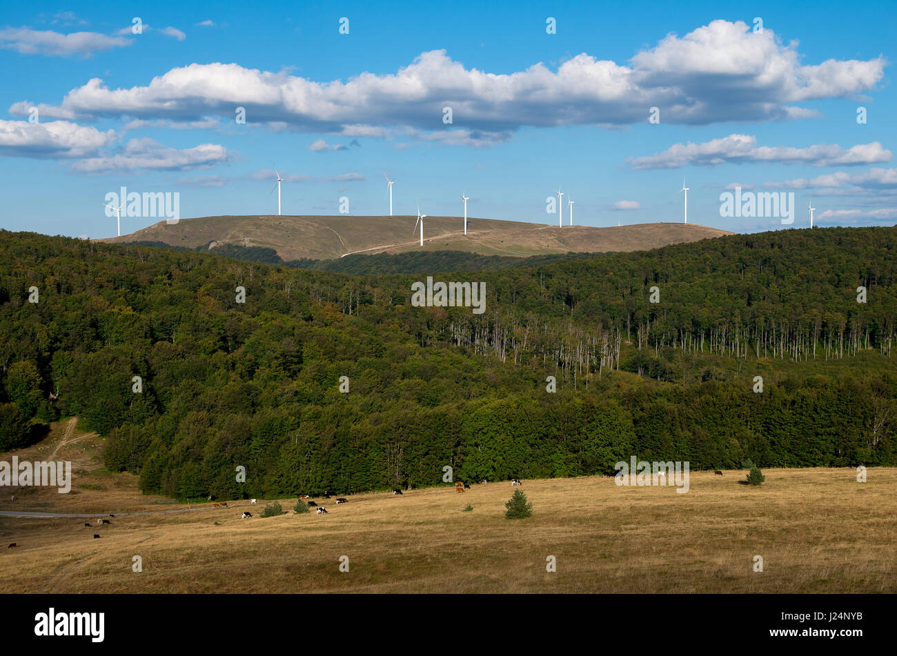 Horizontal wind turbines.  Renewable energy. Obtaining electricity from wind. Preservation of nature. Stock Photo