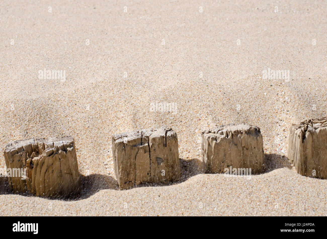Remains of fence posts buried in the sand Stock Photo Alamy