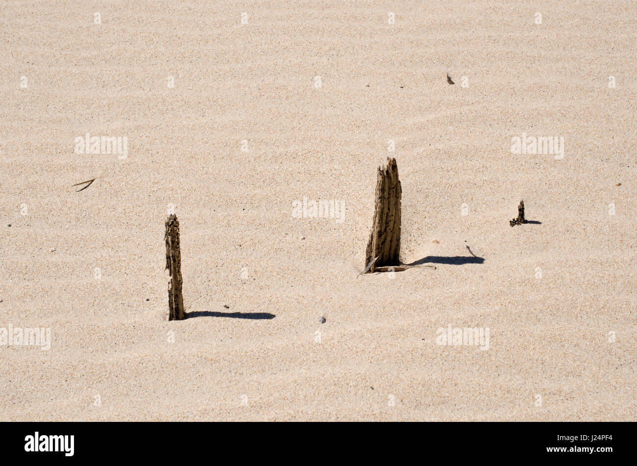 Remains of fence posts buried in the sand Stock Photo Alamy