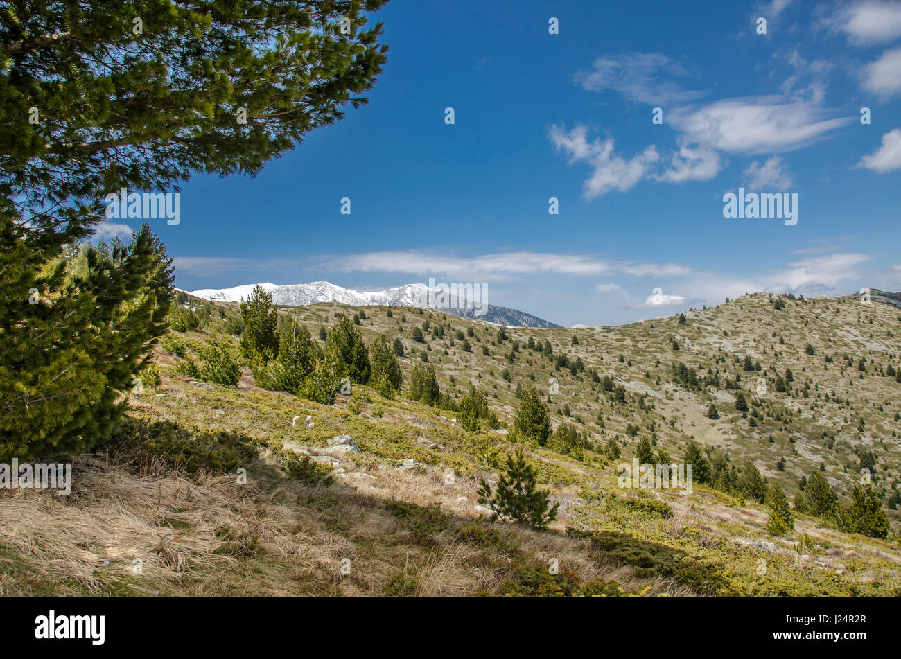 Pelister National Park, Bitola, Macedonia Stock Photo - Alamy