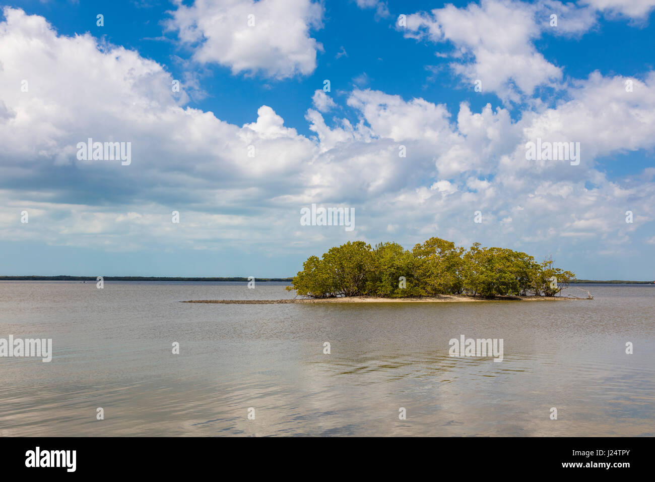 Small island in the Thousand Islands area of Everglades National Park Florida Stock Photo