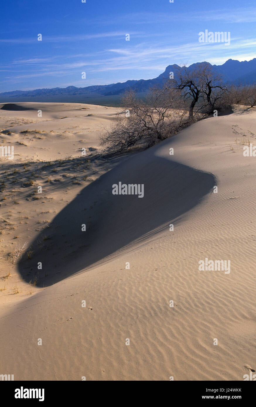 Kelso Dunes Mojave National Preserve California Stock Photo Alamy kelso-dunes-mojave-national-preserve-california-stock-photo-alamy