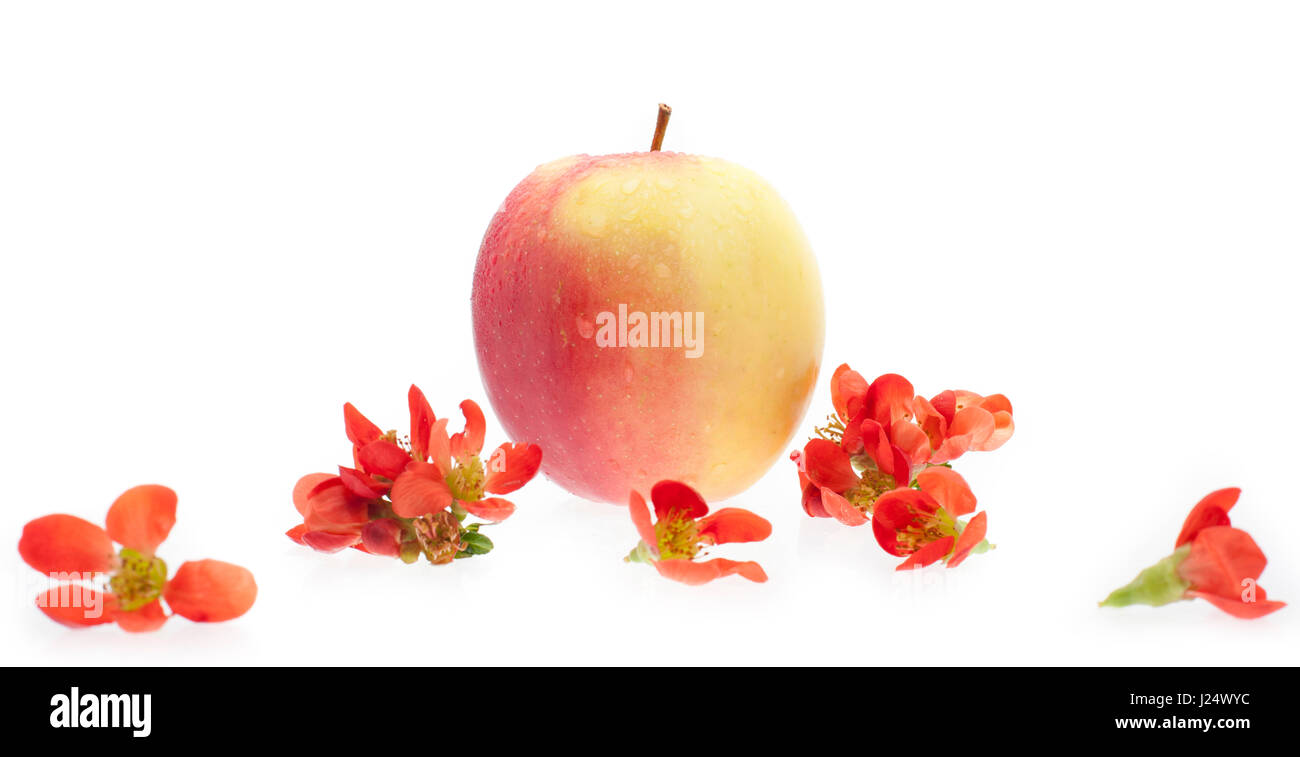 Original apple in original, simple composition Stock Photo
