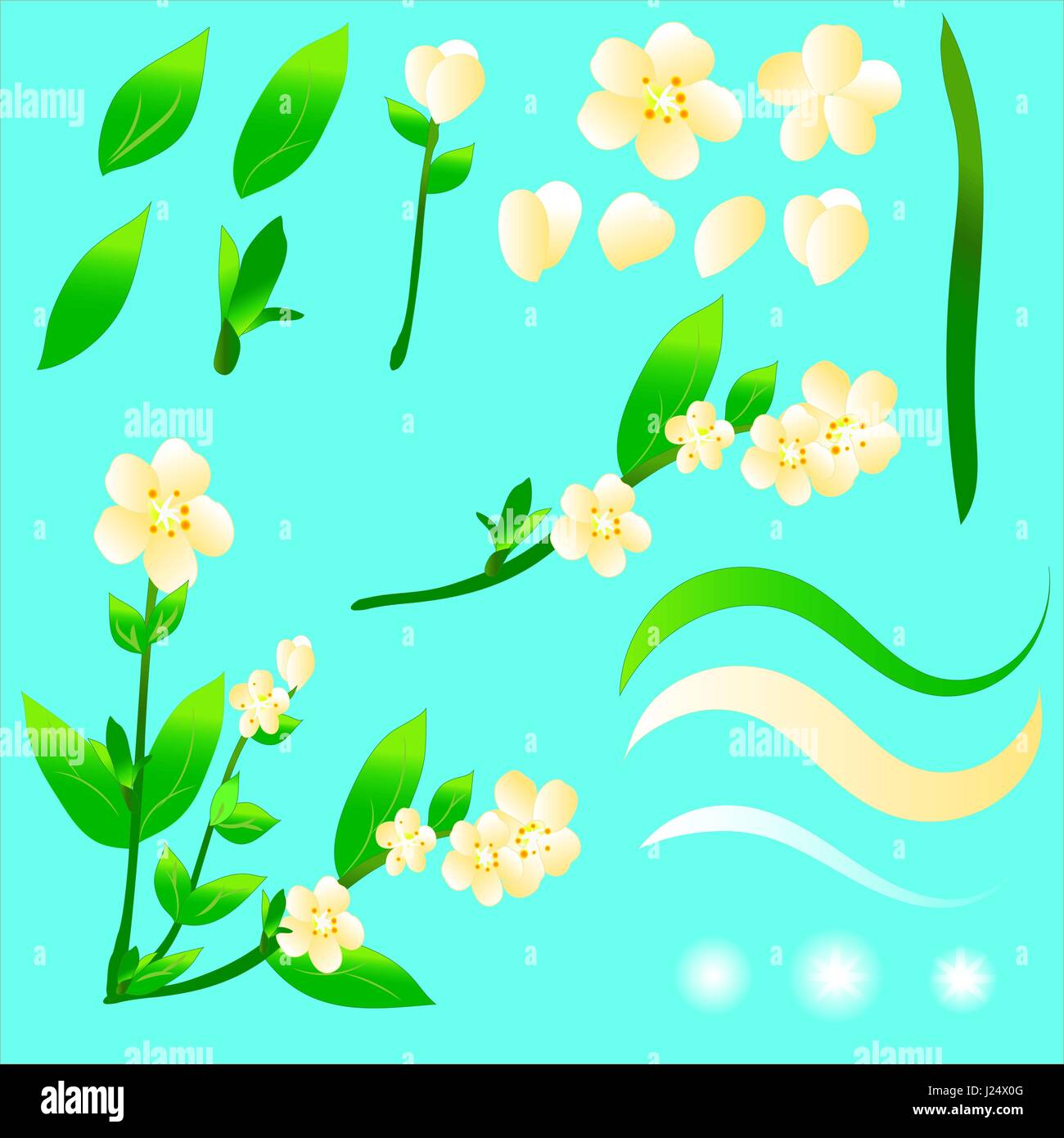 A set of summer yellow flowers and green leaves for drawing up a design. There is a gradient and transparency. EPS 10. Stock Vector