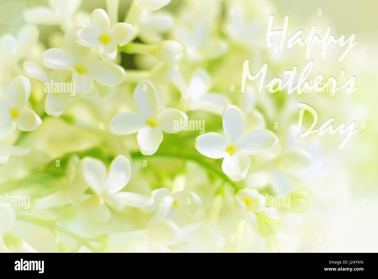 Happy mothers day festive bright flowers card. Spring bloom flowers fresh holiday background. Greeting mother day message. Stock Photo