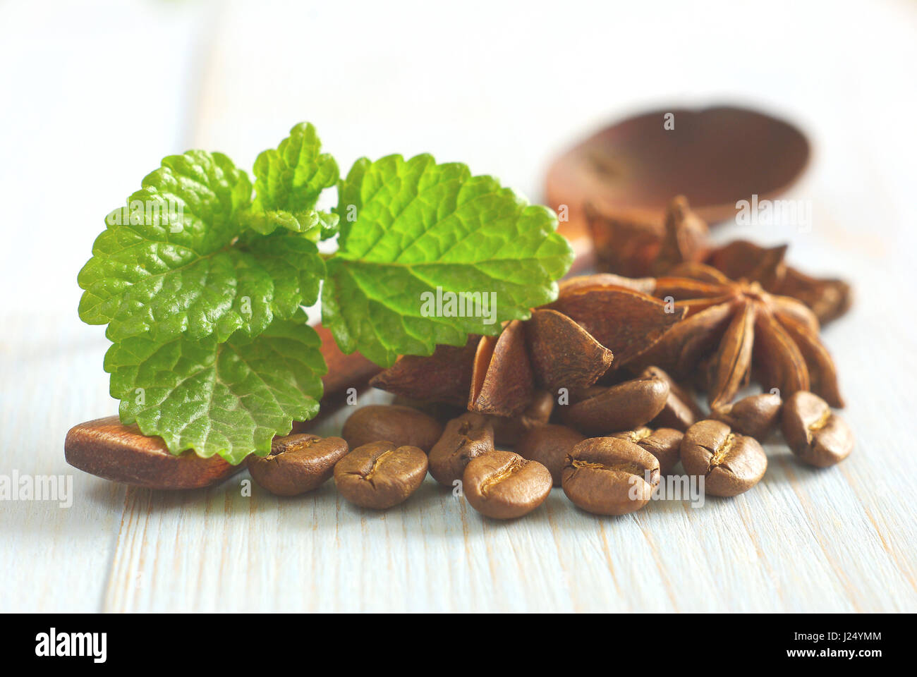 Fresh spearmint leaves, wooden spoon with coffee grains and anise spice star on retro wooden table food background. Selective focus. Aroma spicy caffe Stock Photo