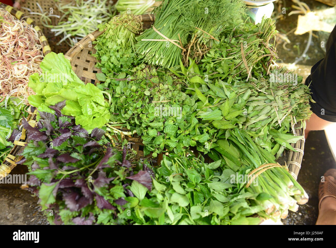 Green herbs are very common in Vietnamese cooking Stock Photo Alamy