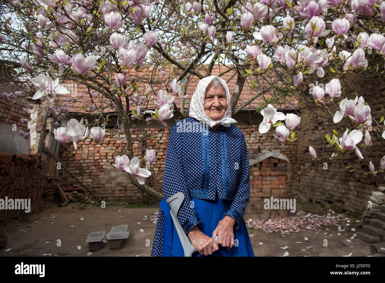Old woman from the Moravian region of the Czech Republic stands in her garden Stock Photo