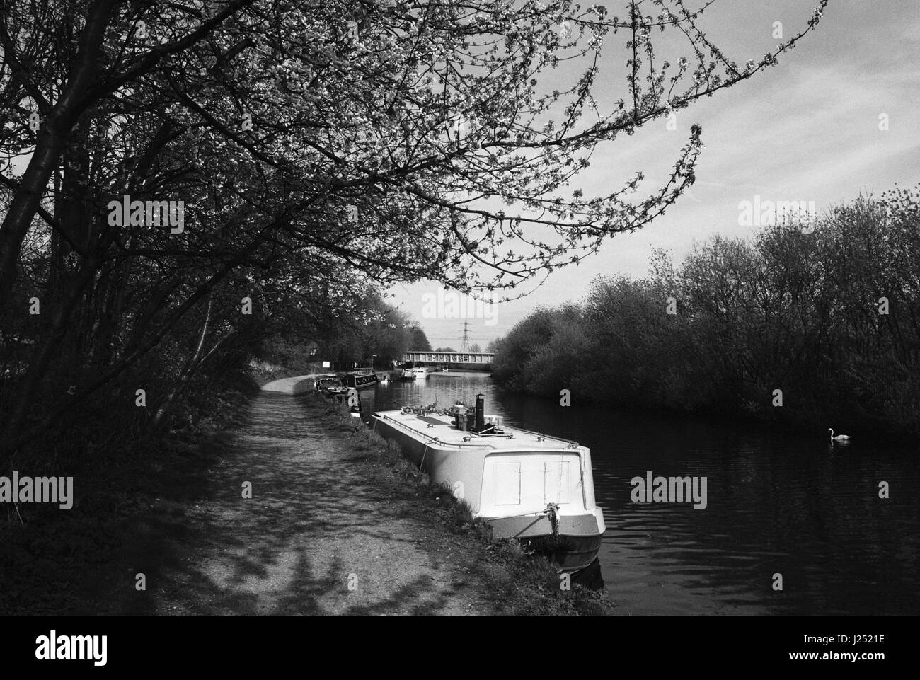 River Lea near Markfield Park, South Tottenham, London UK Stock Photo