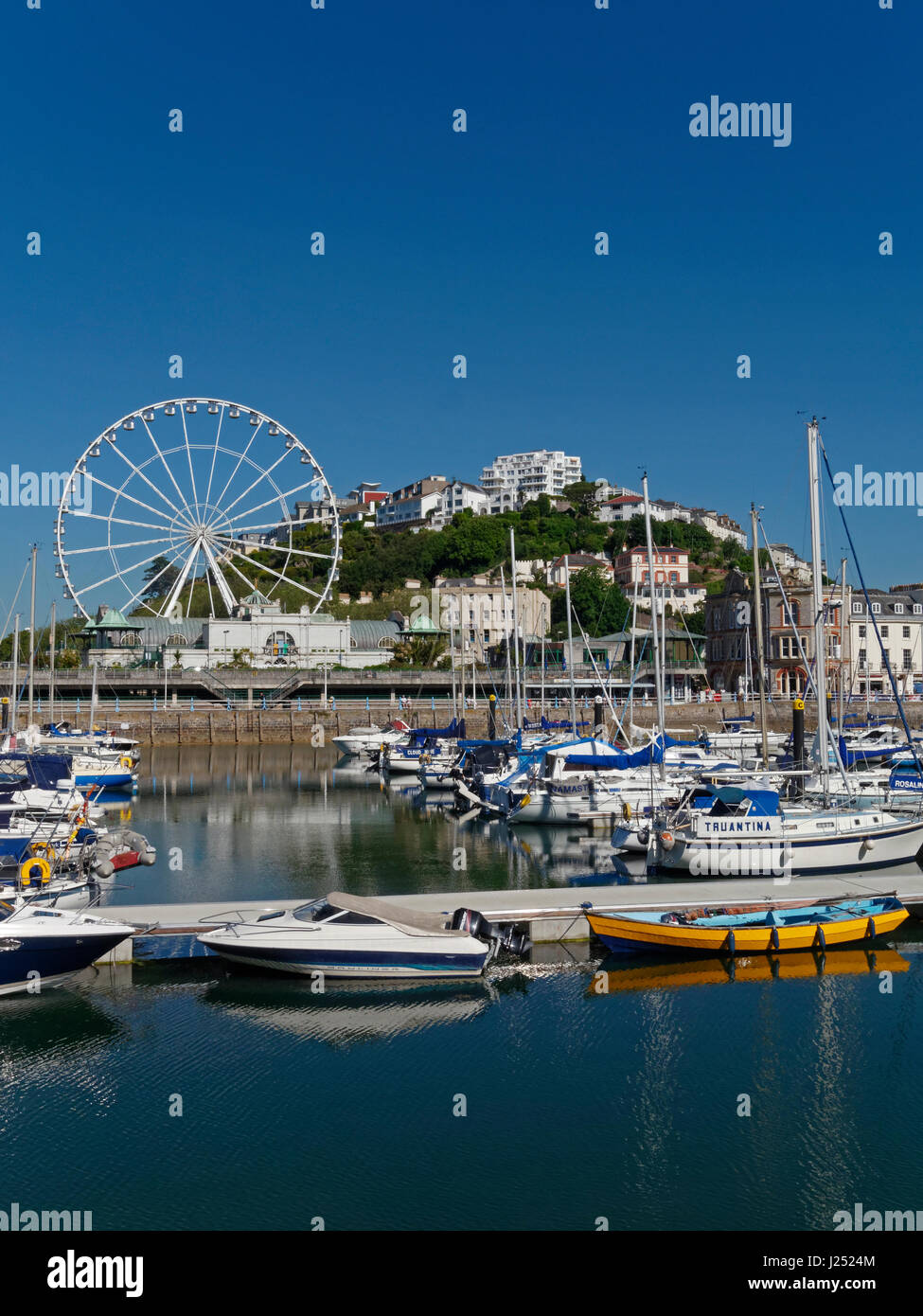 Torquay on The English Riviera with its Harbour with Big Wheel, Torquay, Devon, England, UK Stock Photo