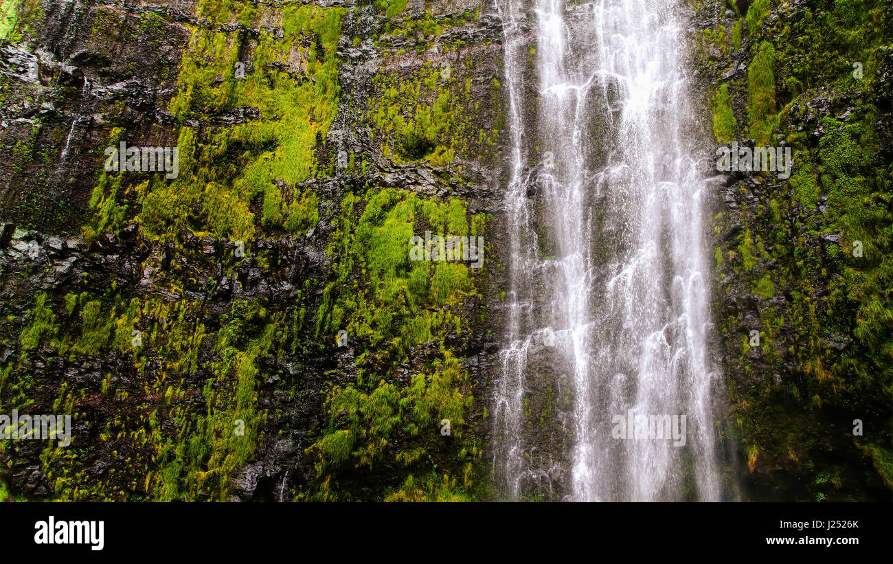 Waterfall wall Stock Photo