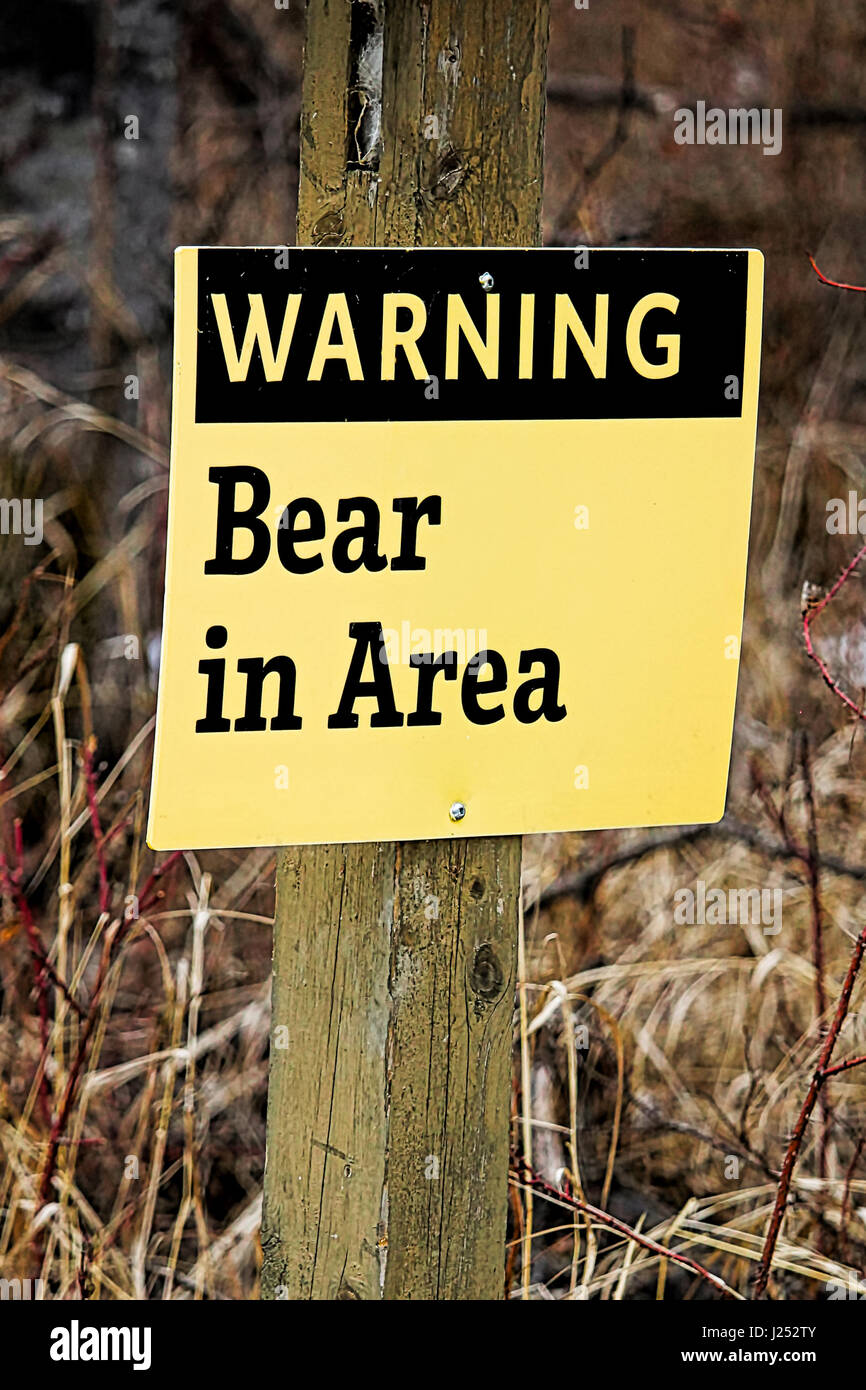 Warning Bear in Area sign. Stock Photo