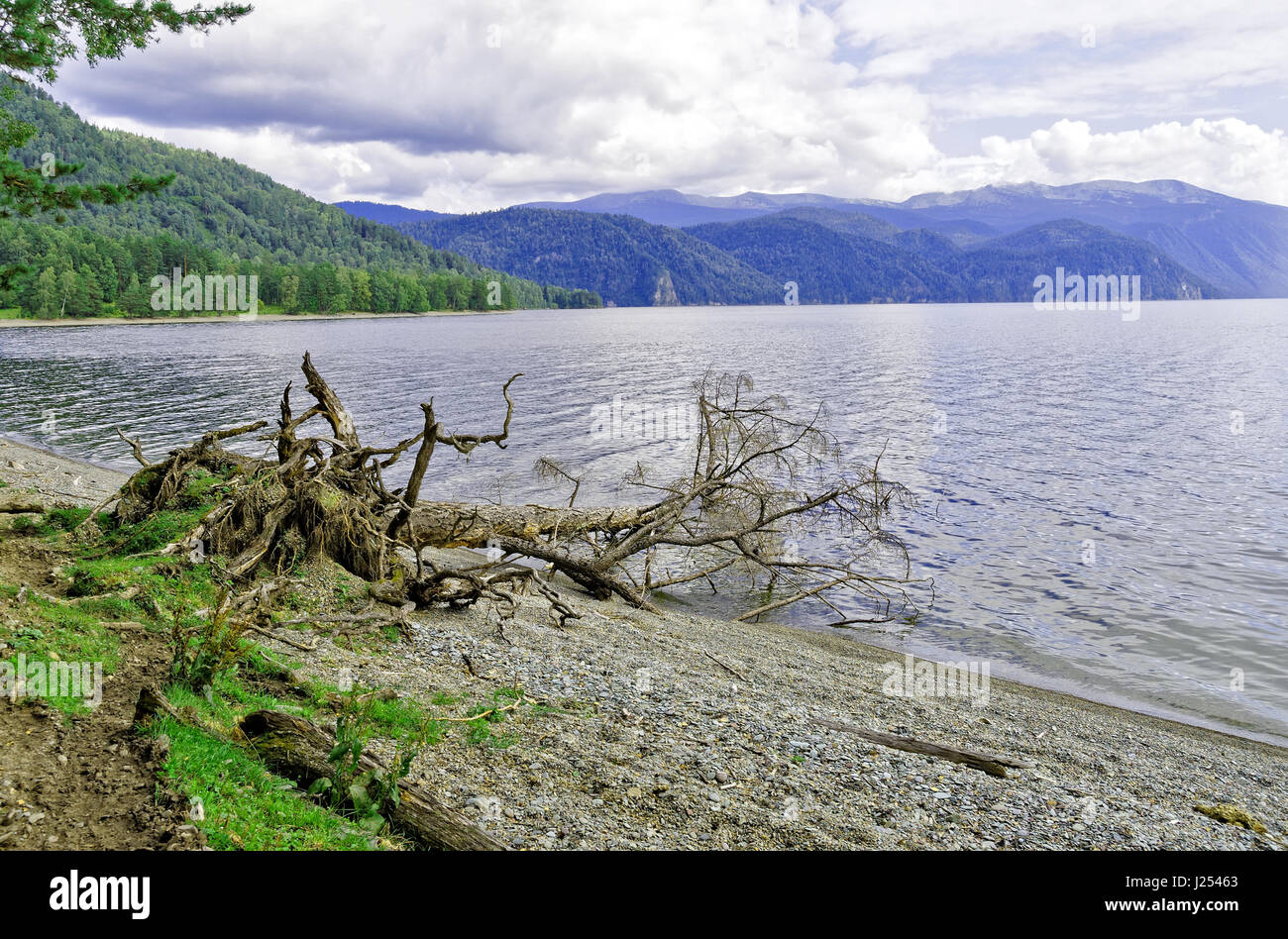 Siberia, end of summer. Teletskoye lake, view of Cape Chicilgan Stock Photo