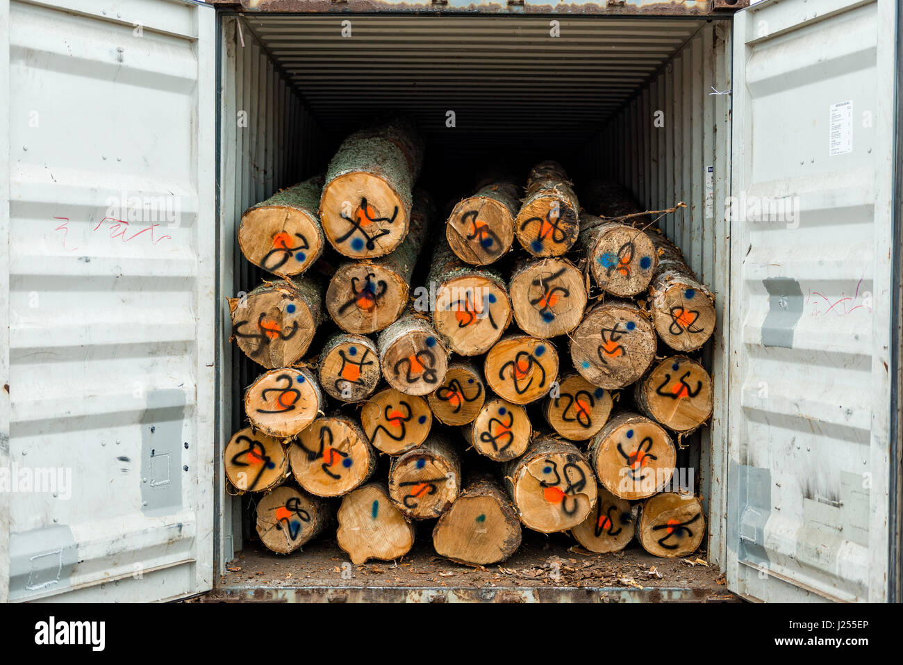 Log container hi-res stock photography and images - Alamy