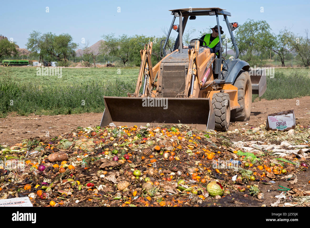 Tucson, Arizona The Compost Cats, a University of Arizona student