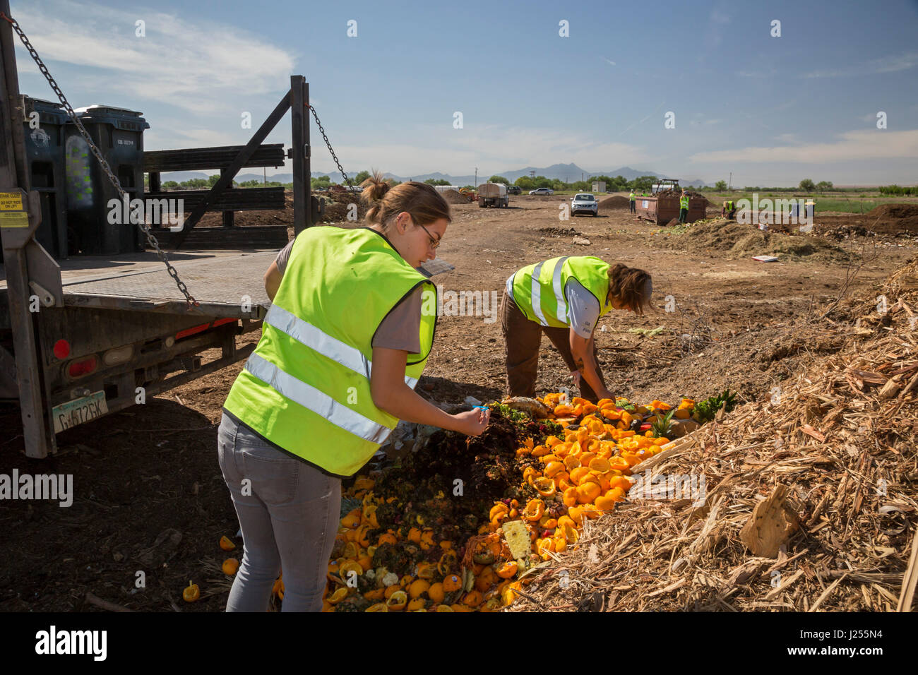 Tucson, Arizona The Compost Cats, a University of Arizona student