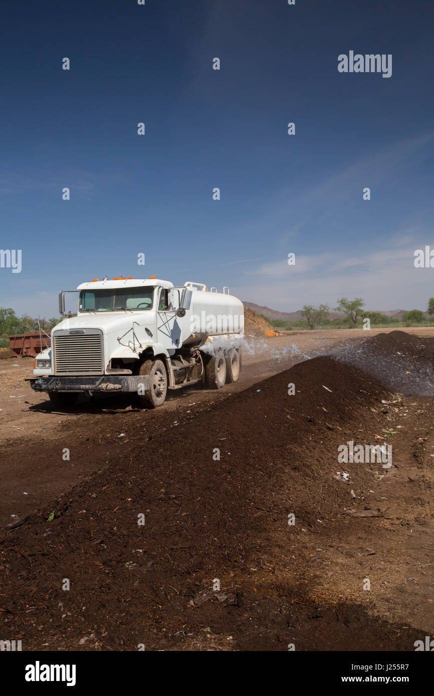 Tucson, Arizona The Compost Cats, a University of Arizona student