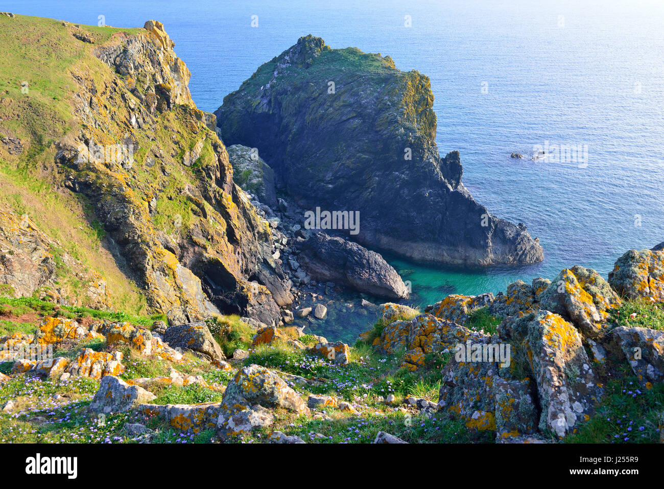 Headland with the rugged coastline near Kynance Cove, One of the world