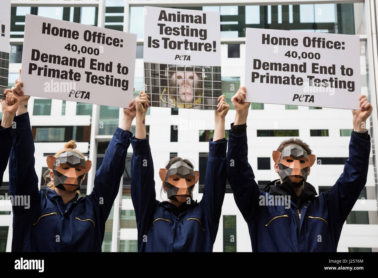 London, UK. 24 April 2017. To mark World Day for Animals in Laboratories, PETA members gathered outside the Home Office wearing monkey masks to protest experimenters' attempts to change the category of suffering assigned to neurological experiments on primates from 'severe' to 'moderate'. A letter with more than 40,000 signatures was delivered to the Home Office calling on the government not only to reject attempts to downgrade severity classification but also to end these cruel experiments altogether. Stock Photo